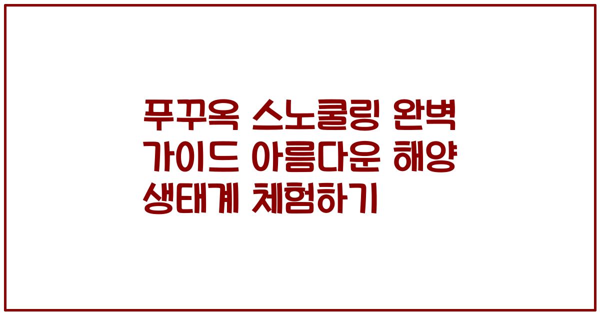 푸꾸옥 스노쿨링 완벽 가이드 아름다운 해양 생태계 체험하기