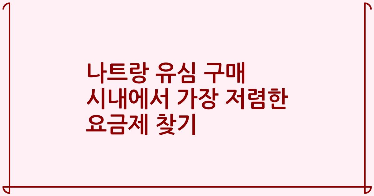 나트랑 유심 구매 시내에서 가장 저렴한 요금제 찾기